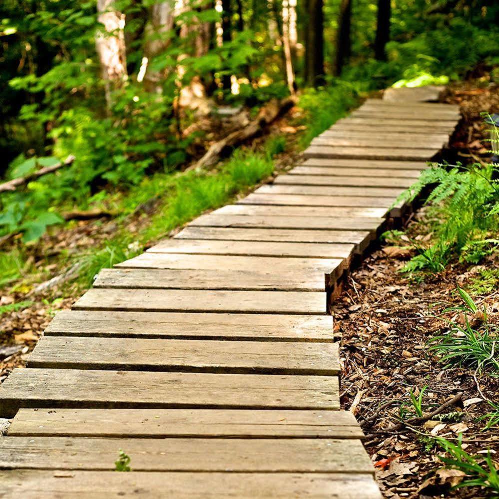 Harmony Outdoor Inn Parry Sound Ngoại thất bức ảnh